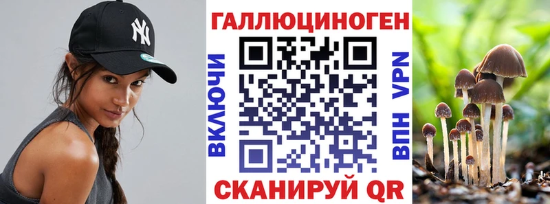 хочу наркоту  Иланский  Псилоцибиновые грибы ЛСД 